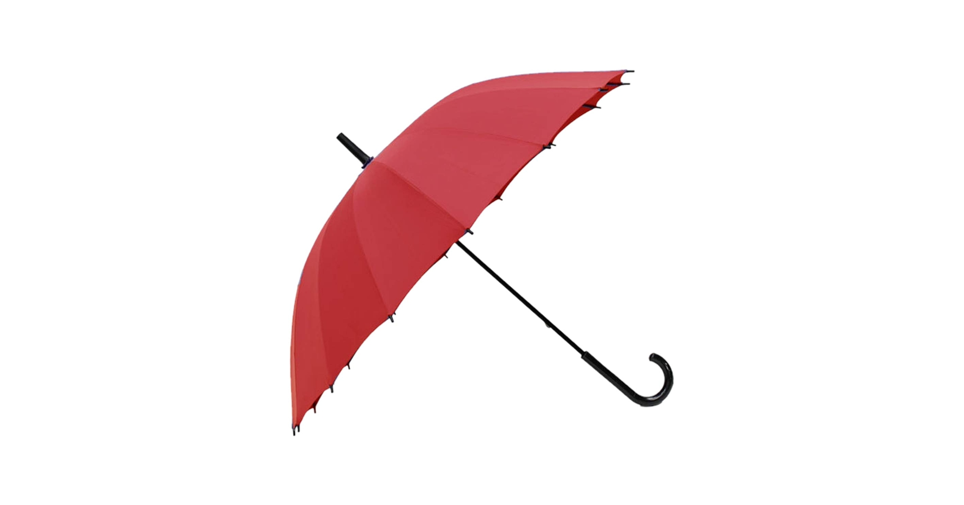 Amazon | システムK 傘 濡れると模様 変化 桜デザイン 桜 模様